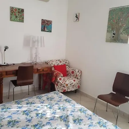 Ancora: Gaudenzi גביצ'ה מארה